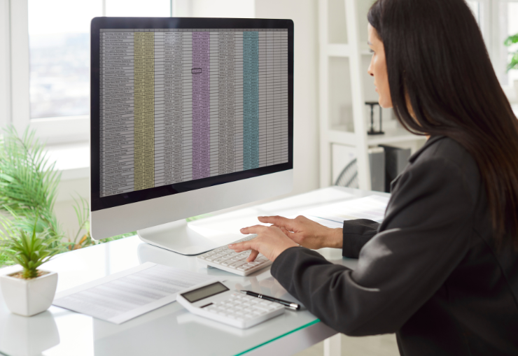 Professional Accountants